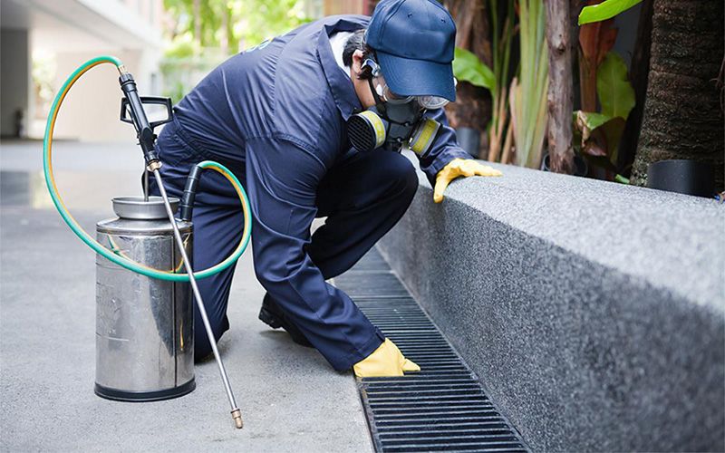 Erzincan böcek ilaçlama uygulama görseli